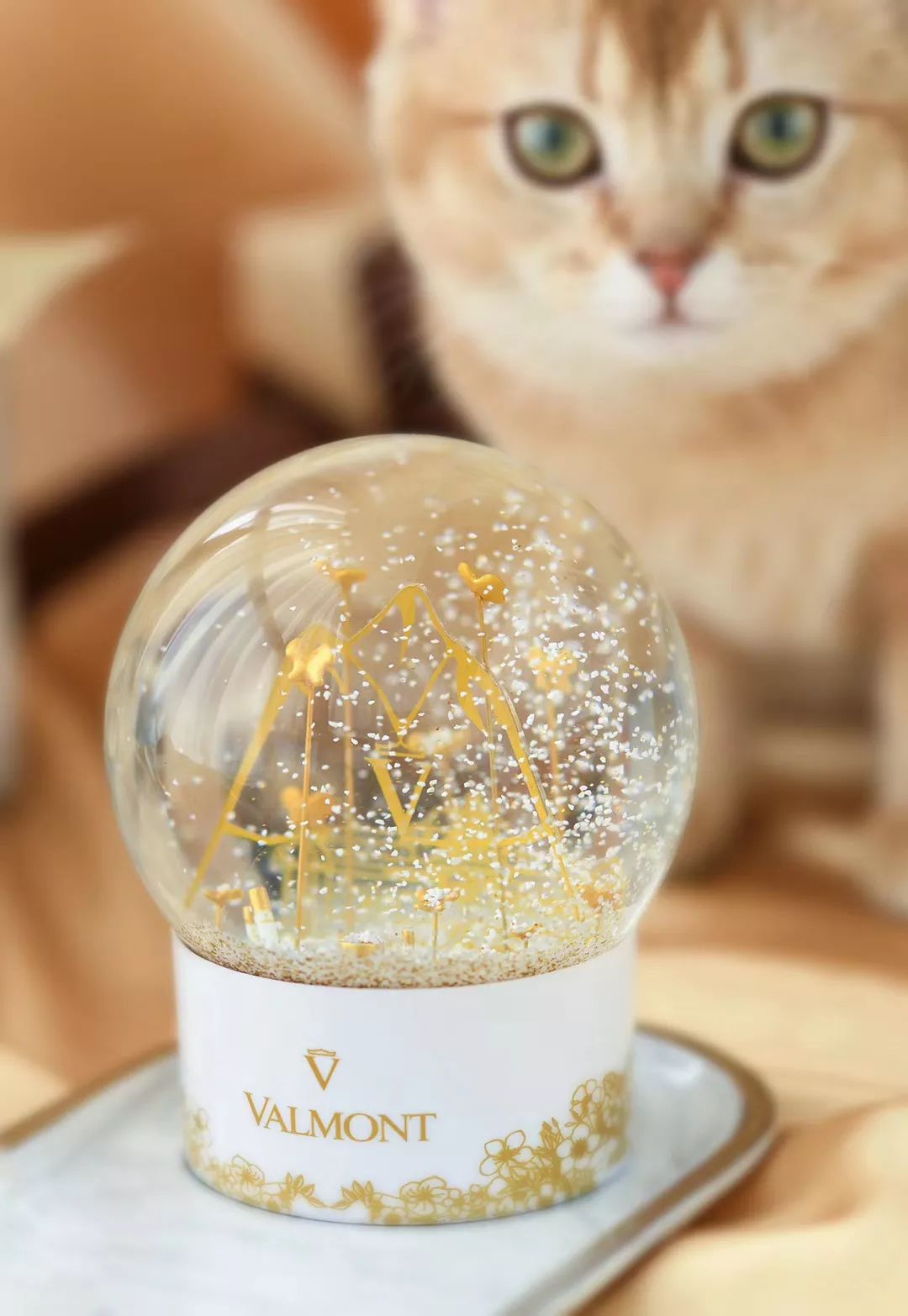 葵式生活｜拿什么和2020sayhello？谢谢这些见面礼