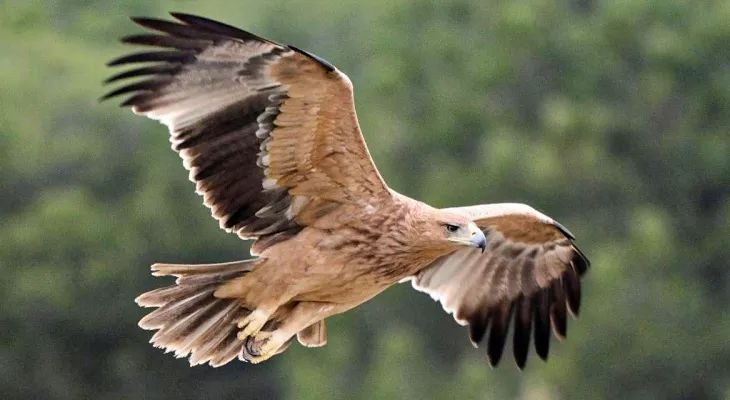 西班牙旅行最不容错过的城市,2019年西班牙旅游