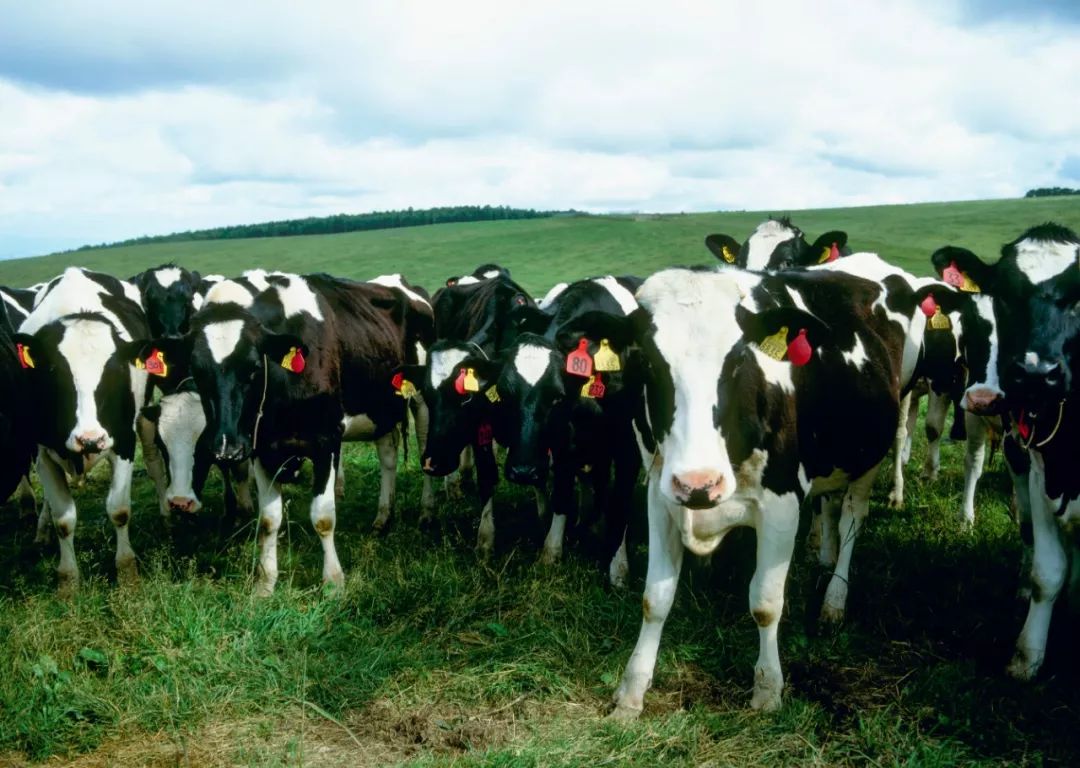 北海道为什么会成为日本的福地,北海道为啥叫北海道