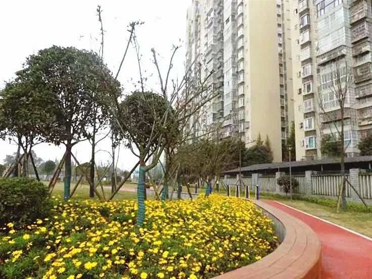 打造特色标杆园区的情况报告,片区改造最新信息