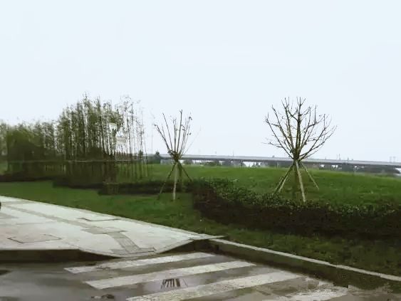 打造特色标杆园区的情况报告,片区改造最新信息