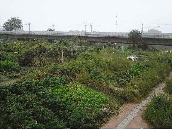 打造特色标杆园区的情况报告,片区改造最新信息