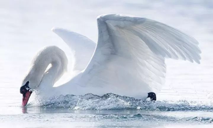 提高睡眠质量护颈椎枕头,枕头中的奢侈品