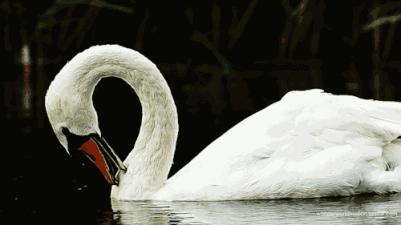 提高睡眠质量护颈椎枕头,枕头中的奢侈品