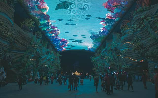 长隆海洋王国海牛馆探秘,珠海长隆海洋王国海底夜宿