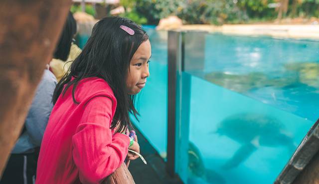 长隆海洋王国海牛馆探秘,珠海长隆海洋王国海底夜宿