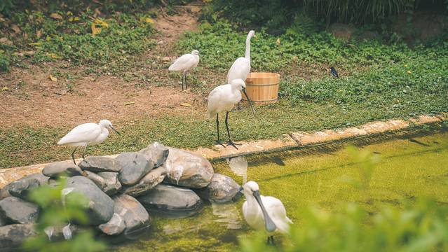 长隆海洋王国海牛馆探秘,珠海长隆海洋王国海底夜宿