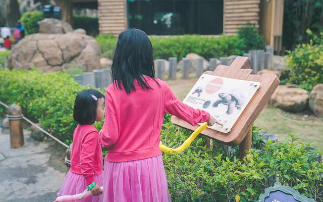 长隆海洋王国海牛馆探秘,珠海长隆海洋王国海底夜宿