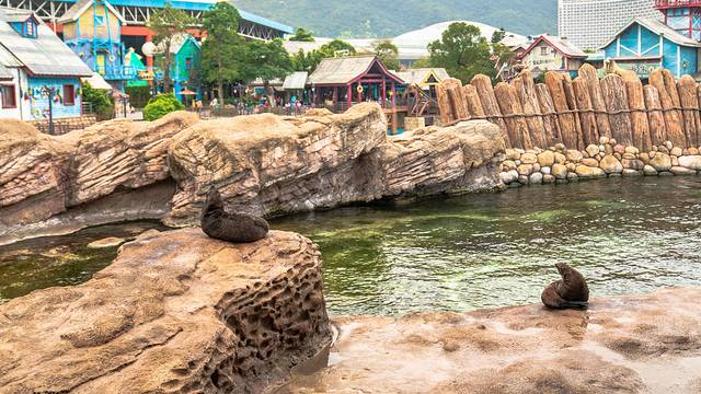 长隆海洋王国海牛馆探秘,珠海长隆海洋王国海底夜宿