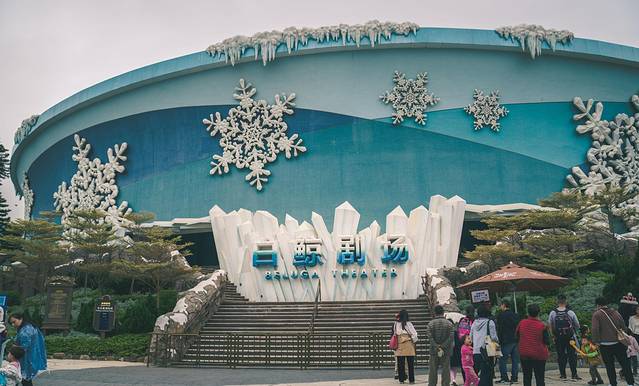 长隆海洋王国海牛馆探秘,珠海长隆海洋王国海底夜宿