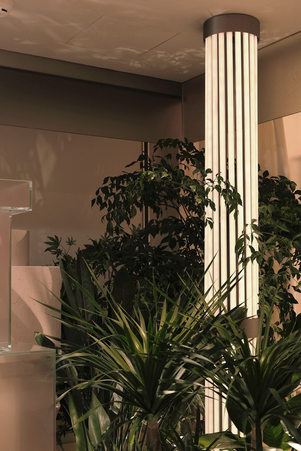 sstudio鐢滃搧,sstudio鍘熷垱璁捐