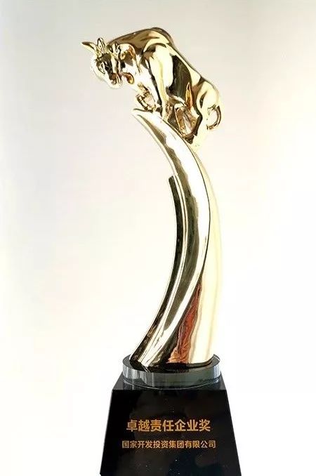 奖奖奖奖奖!年终收获季,国投获卓越责任企业等一波大奖