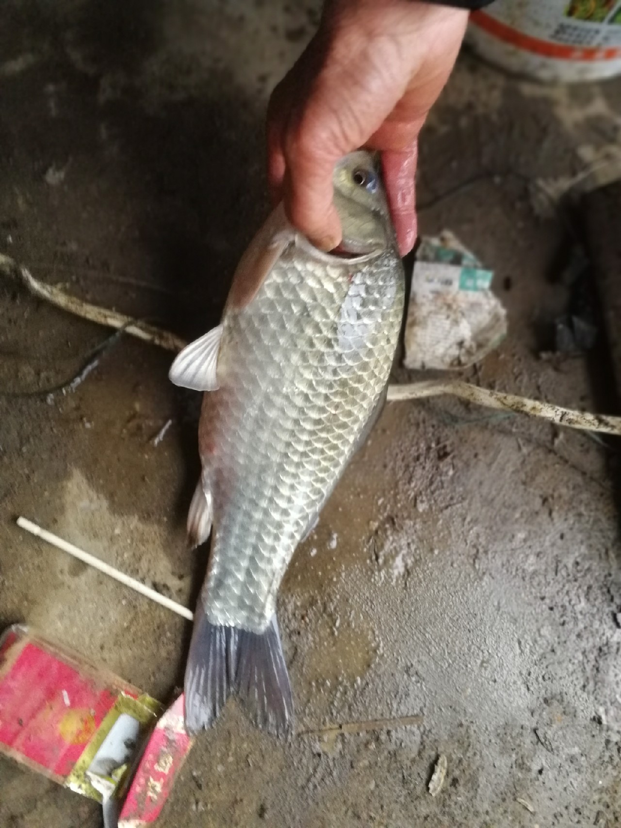 2.7米综合竿钓黑坑可以嘛,2.7变调竿