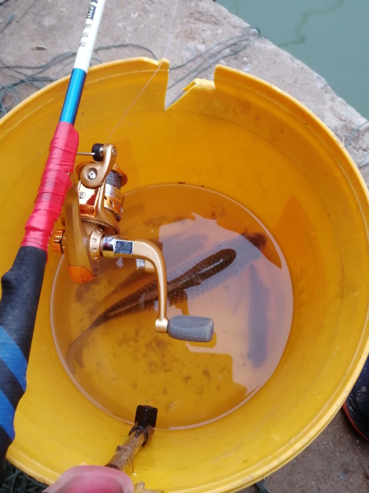 2.7米综合竿钓黑坑可以嘛,2.7变调竿