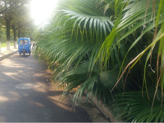 出租房安装报警器会不会扰民,出租屋装报警器干嘛