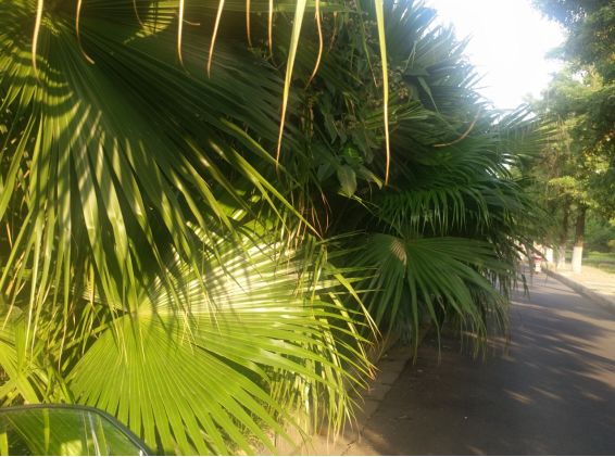 出租房安装报警器会不会扰民,出租屋装报警器干嘛