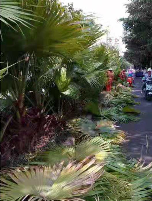 出租房安装报警器会不会扰民,出租屋装报警器干嘛