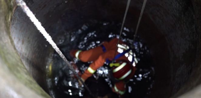 合肥对养狗的规定,合肥养禁养犬受什么处罚