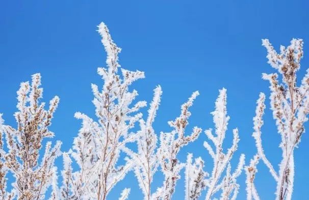 湖北最近的滑雪场,湖北哪的滑雪场有跳台