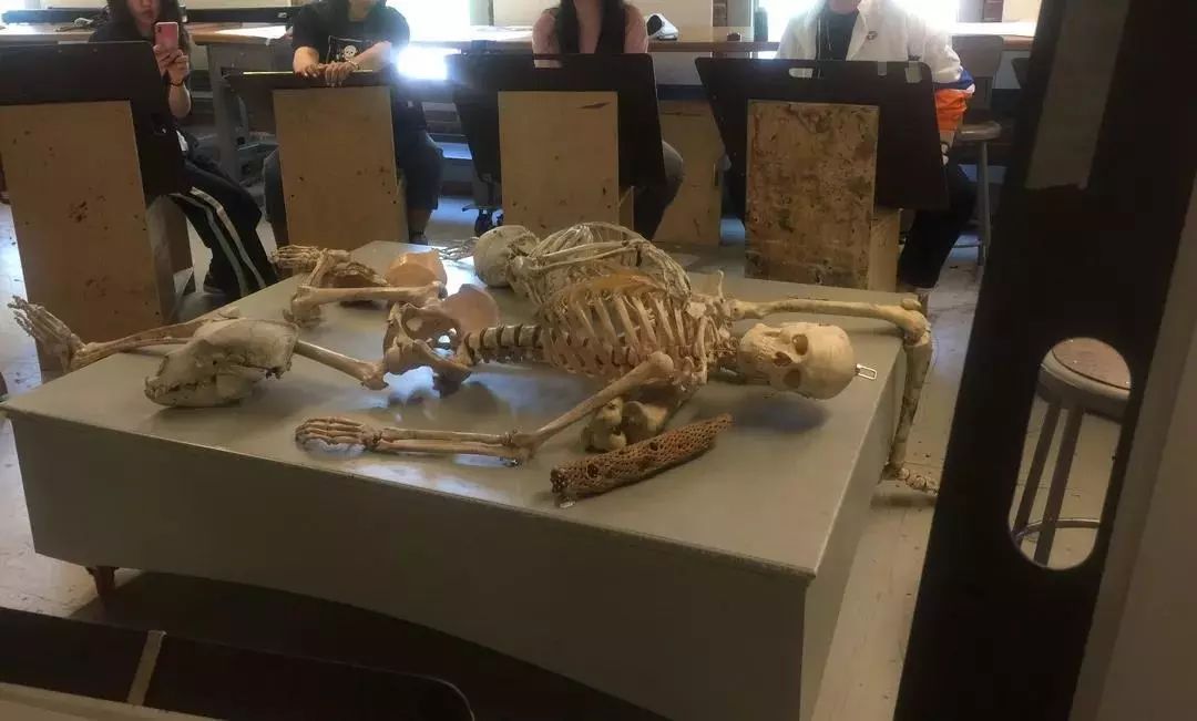 为什么学霸都会选择清华大学,为什么学霸普遍都选择清华