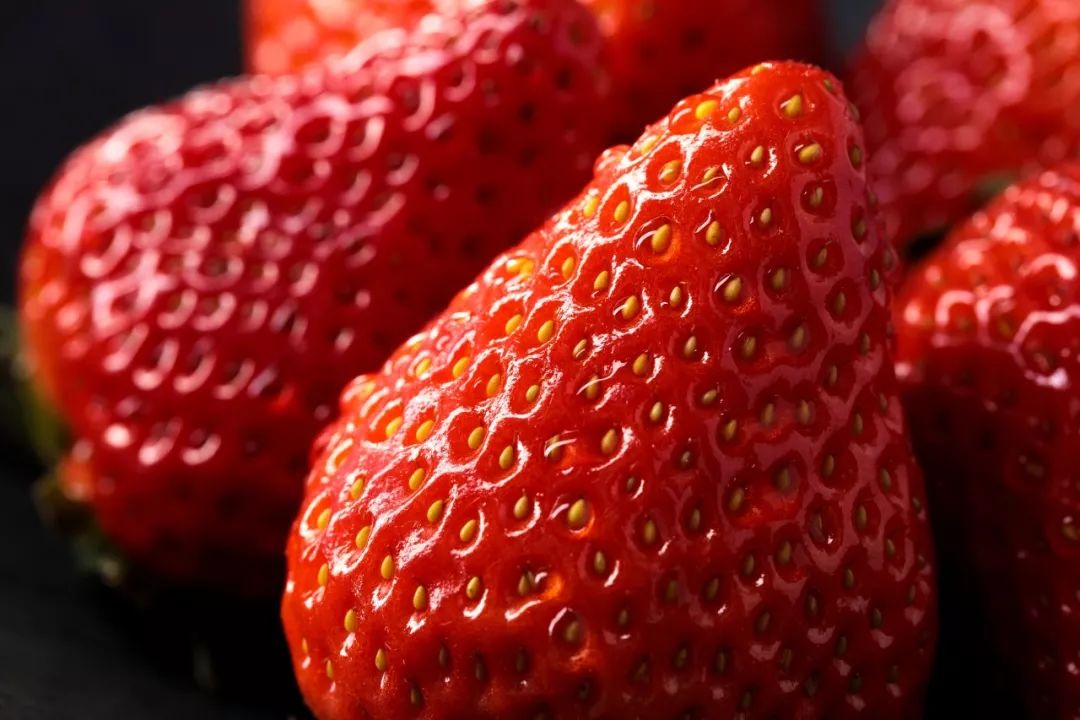 涓逛笢绾㈤鑽夎帗浜у湴鍦ㄥ摢,涓逛笢绾㈤鑽夎帗澶ф灉浠锋牸琛屾儏