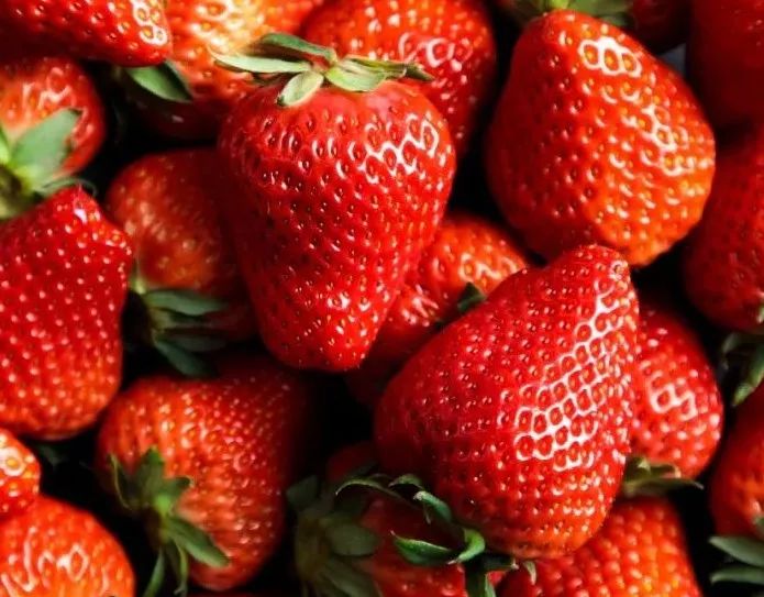 涓逛笢绾㈤鑽夎帗浜у湴鍦ㄥ摢,涓逛笢绾㈤鑽夎帗澶ф灉浠锋牸琛屾儏