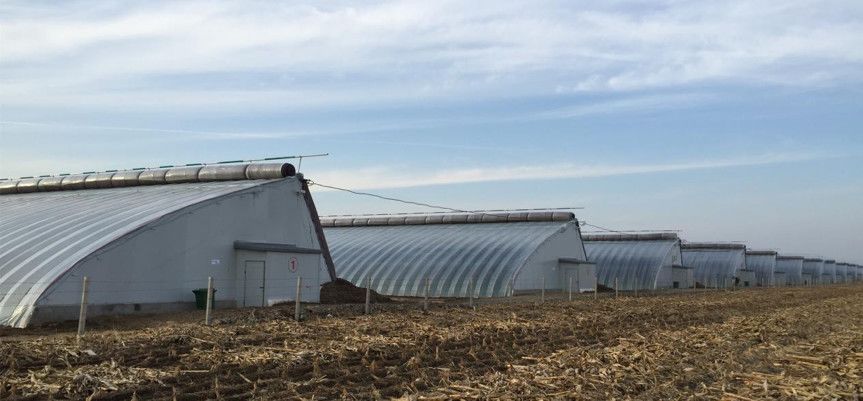 涓逛笢绾㈤鑽夎帗浜у湴鍦ㄥ摢,涓逛笢绾㈤鑽夎帗澶ф灉浠锋牸琛屾儏