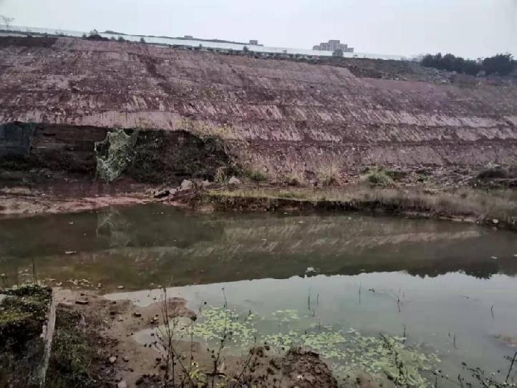 实地打探伏牛溪地王，大渡口高层能否突破两万天花板？