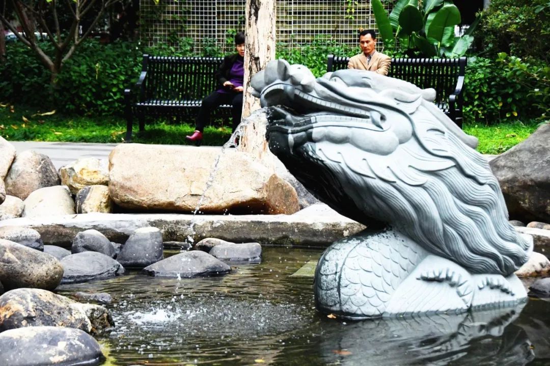 快来打卡春天,快来打卡美景