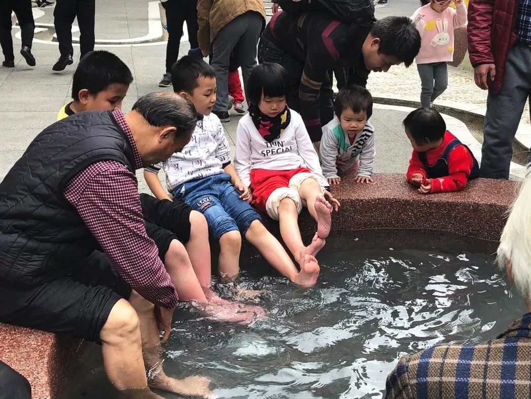 快来打卡春天,快来打卡美景