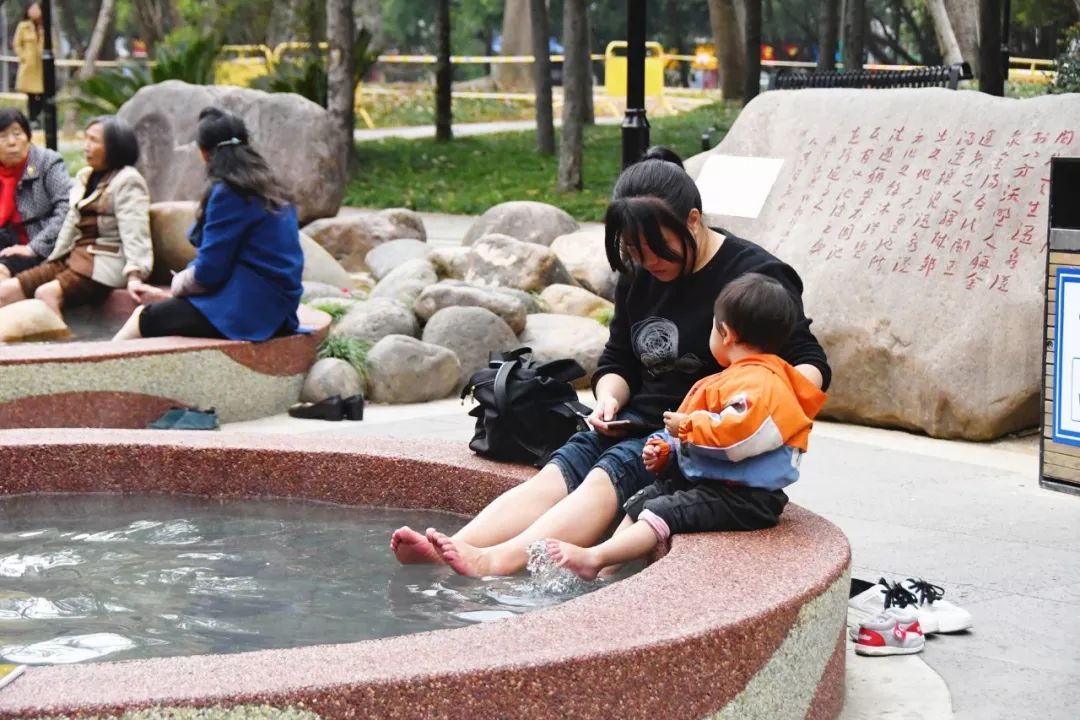 快来打卡春天,快来打卡美景