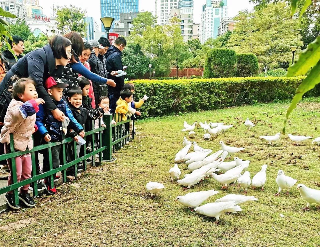 快来打卡春天,快来打卡美景