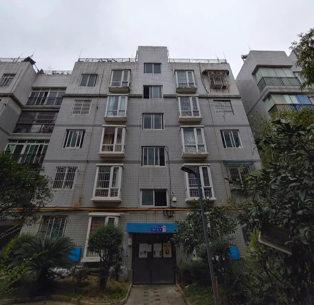 网络问政|小区屋顶建场养烈性犬,乌当区创新派出所:限7日内处理