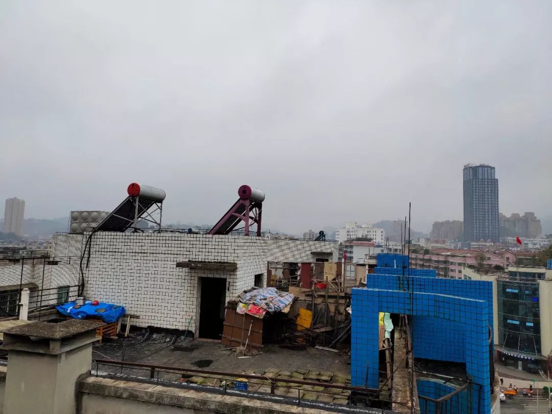 网络问政|小区屋顶建场养烈性犬,乌当区创新派出所:限7日内处理