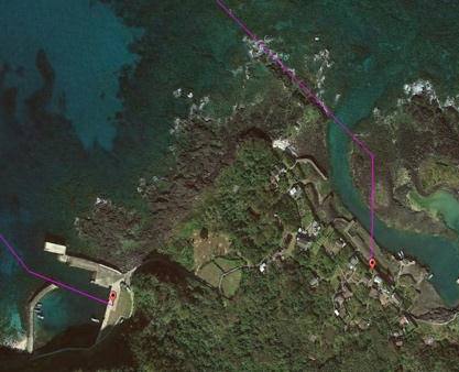 ana航空和日本航空区别,ana和日本航空