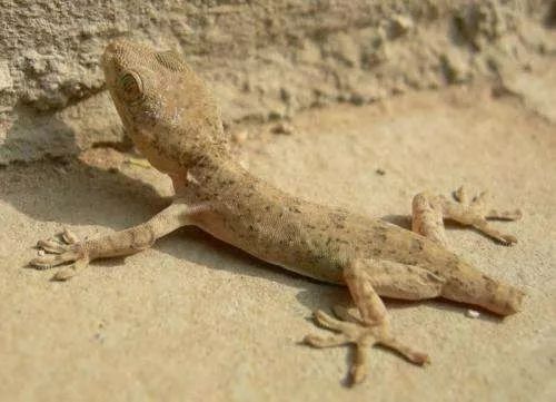 夜读梁梁,夜读壁灯