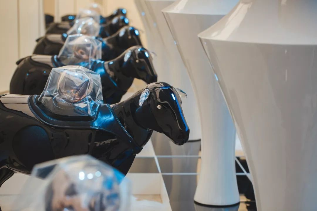 SKP-SB1探店记|我在羊圈底下喝咖啡