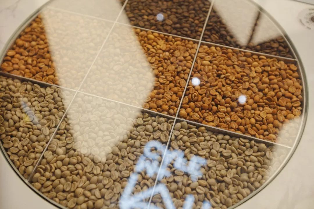 SKP-SB1探店记|我在羊圈底下喝咖啡