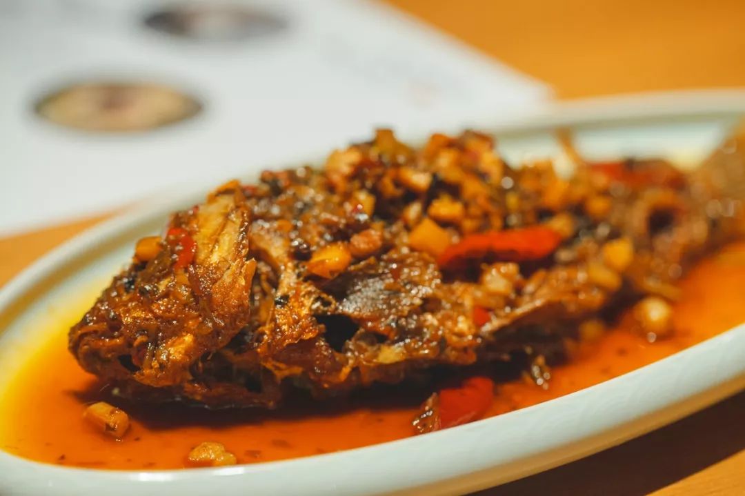 SKP-SB1探店记|我在羊圈底下喝咖啡