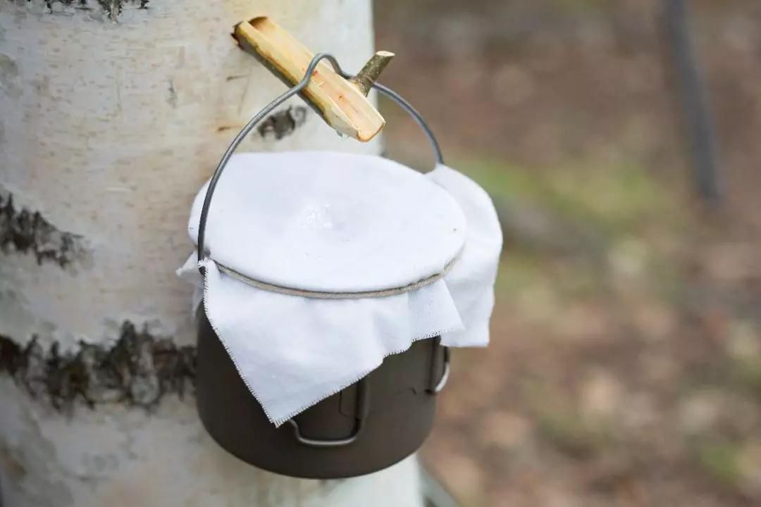 防干燥瘙痒的身体乳精油,皮肤干燥痒身体乳评测