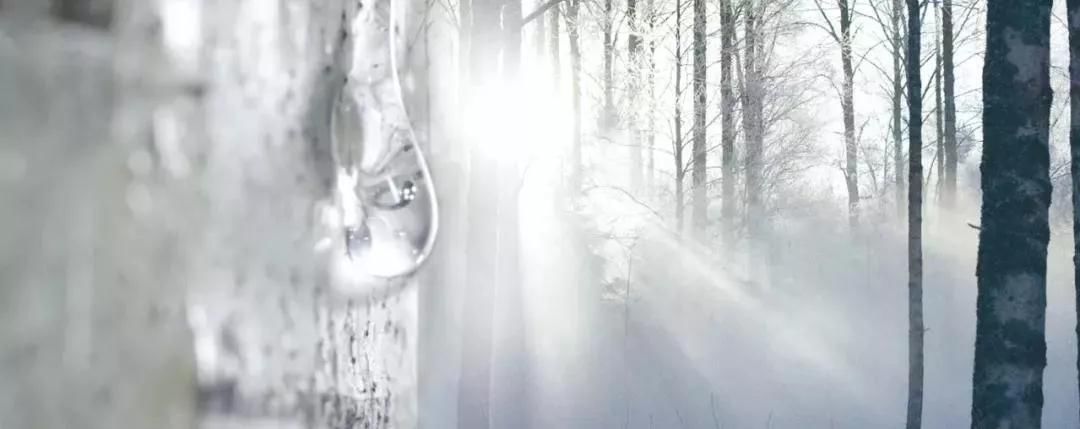 防干燥瘙痒的身体乳精油,皮肤干燥痒身体乳评测