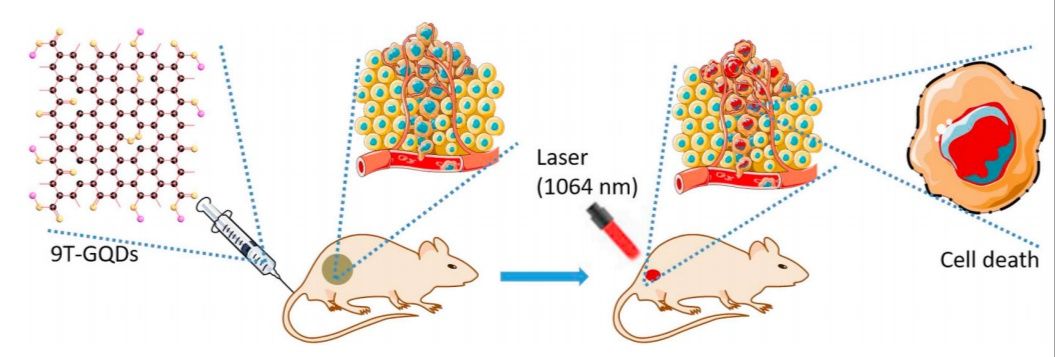 碳量子点在医学领域的应用视频,石墨烯量子点的应用