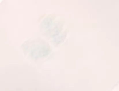 姨妈巾自测健康,卫生棉条为什么比姨妈巾好用