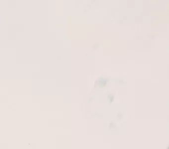 姨妈巾自测健康,卫生棉条为什么比姨妈巾好用