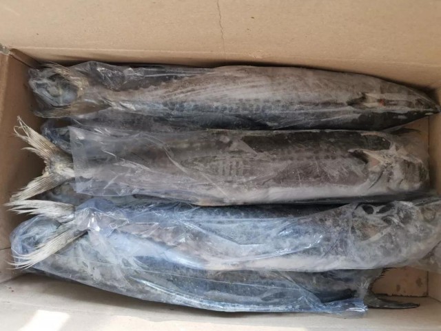 新品上架|冰鲅鱼、冰带鱼、冰鲳鱼、干黄花、干勾鱼、烤大虾，各种本地年货赶紧囤起来
