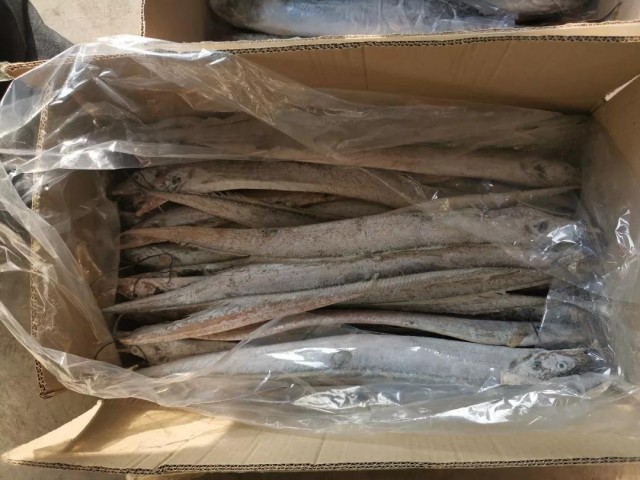 新品上架|冰鲅鱼、冰带鱼、冰鲳鱼、干黄花、干勾鱼、烤大虾，各种本地年货赶紧囤起来