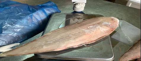 新品上架|冰鲅鱼、冰带鱼、冰鲳鱼、干黄花、干勾鱼、烤大虾，各种本地年货赶紧囤起来