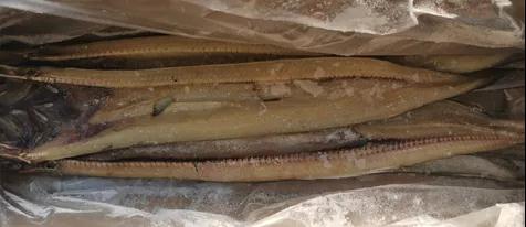 新品上架|冰鲅鱼、冰带鱼、冰鲳鱼、干黄花、干勾鱼、烤大虾，各种本地年货赶紧囤起来