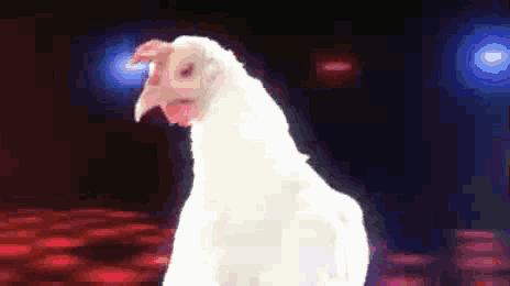 2019年a股一共多少家公司,未来十年的a股