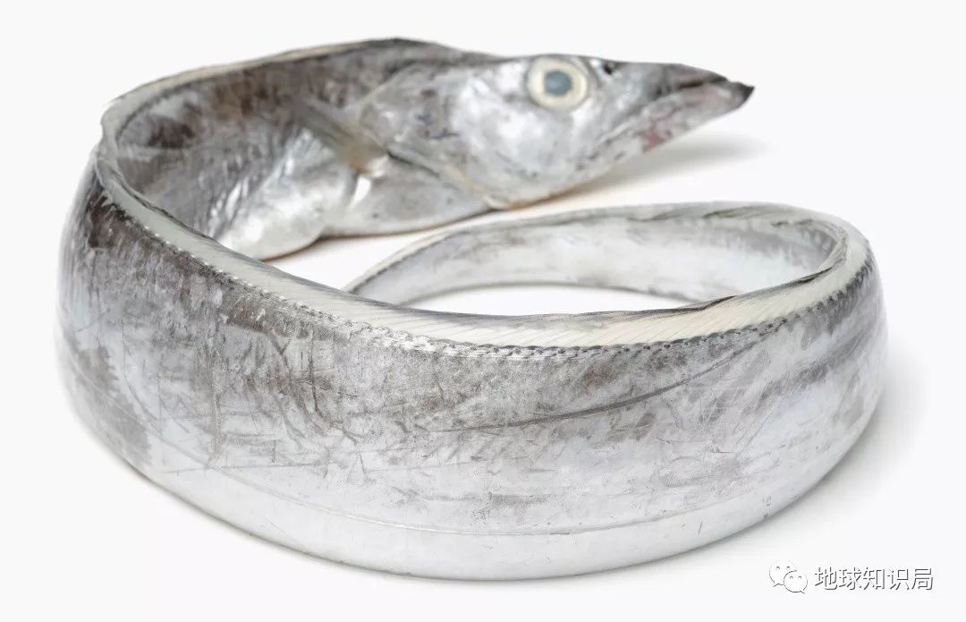 沿海人民是如何喂饱中国的?